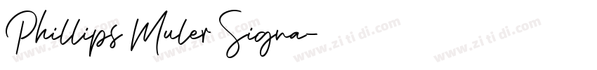 Phillips Muler Signa字体转换